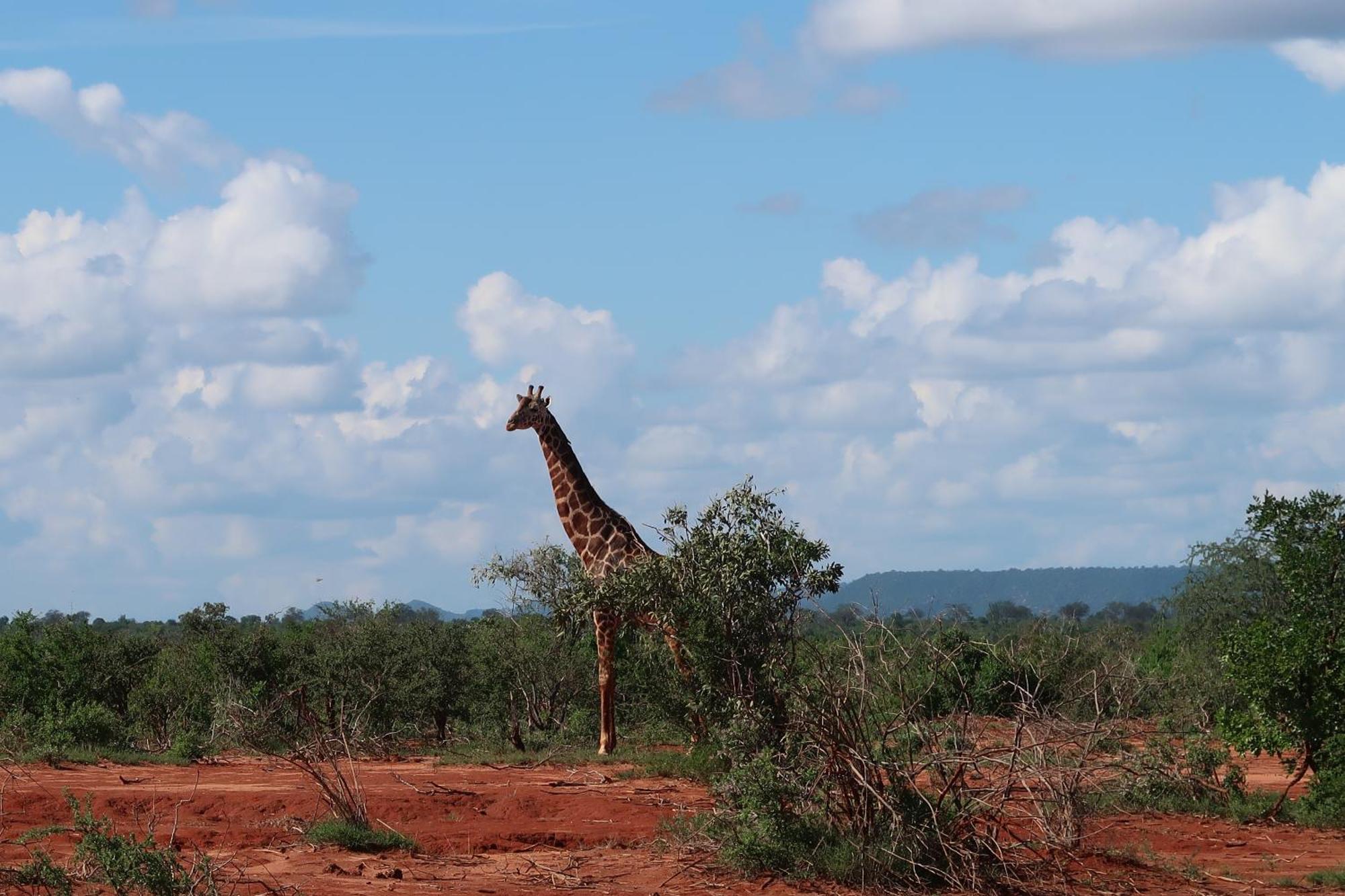 Tausa Tsavo Eco Lodge Voi Kültér fotó