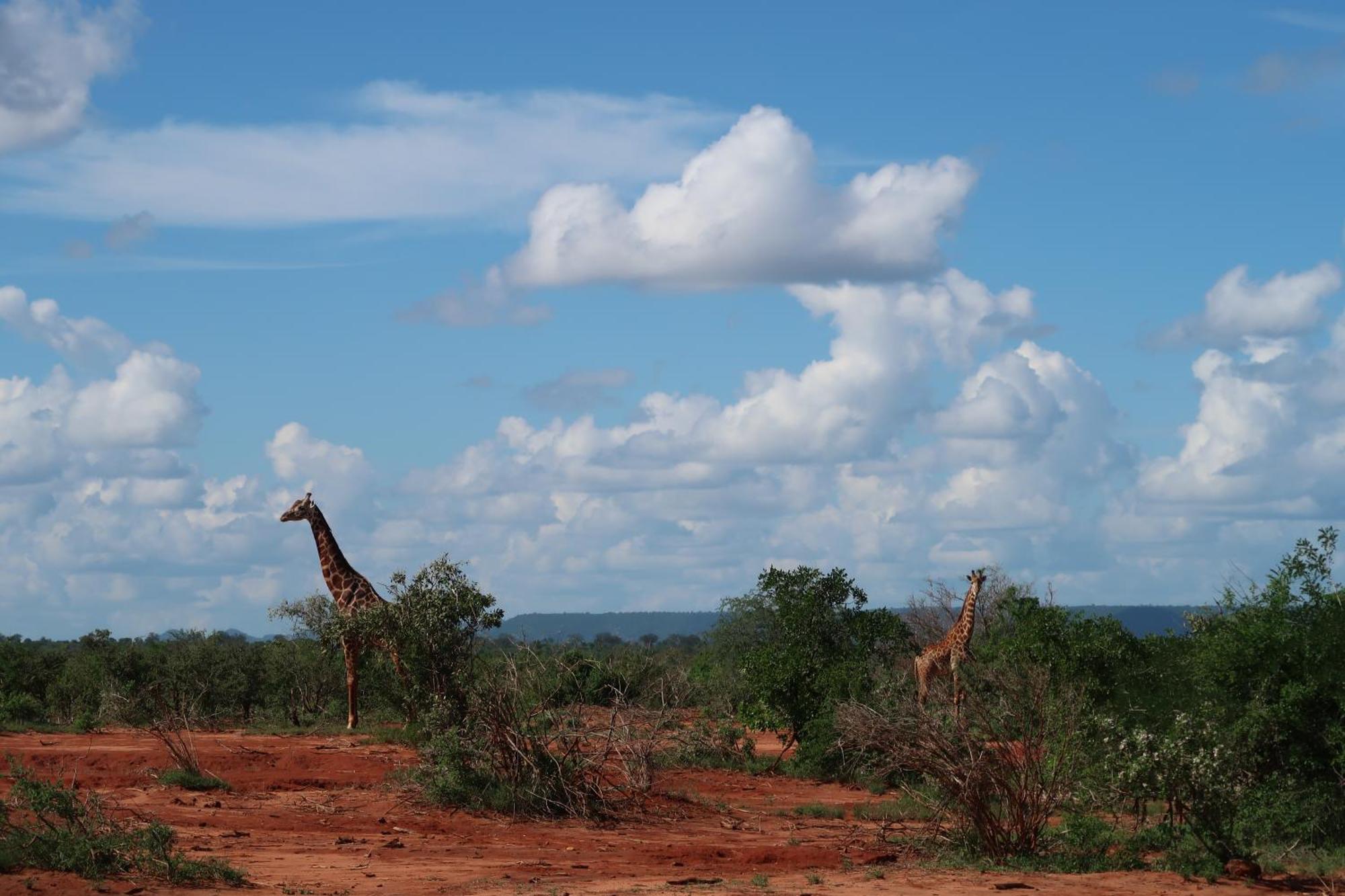 Tausa Tsavo Eco Lodge Voi Kültér fotó